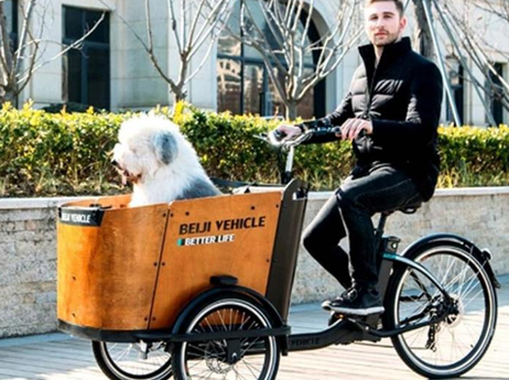 Cargo Bike