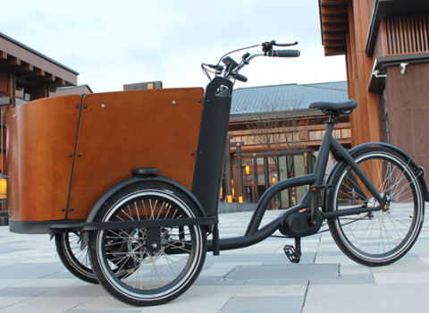 Electric Cargo Bike