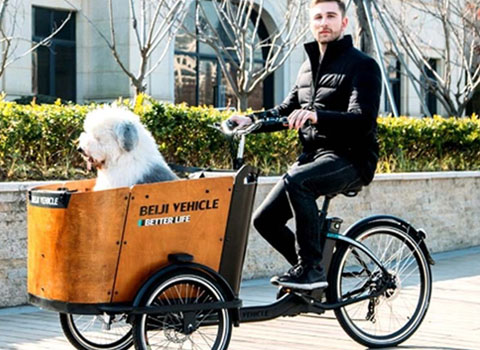 Cargo Bike