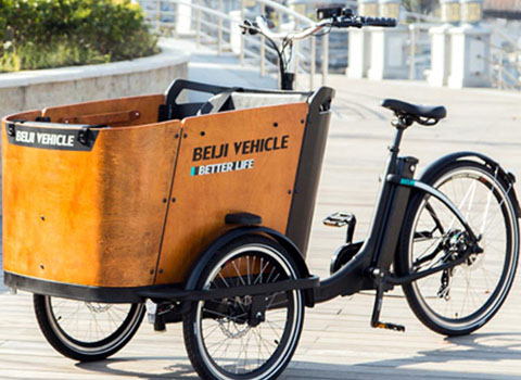 Cargo Bike