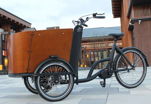 Cargo Bike