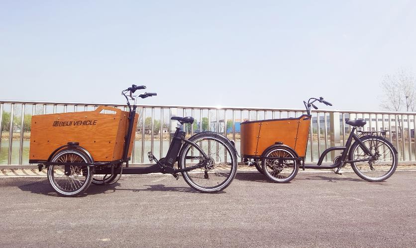 Cargo Trikes:A Smart Investment for Small-Scale Logistics Operations.