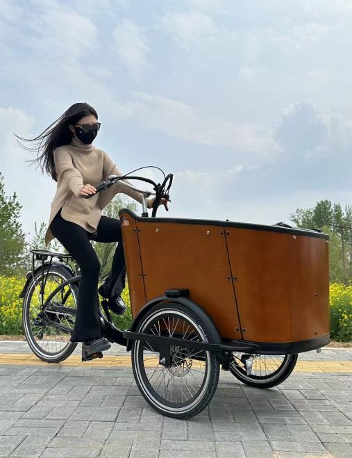 Tired of Struggling with Car Seats and Strollers? Why Not Switch to a Family Cargo Bike?cid=8