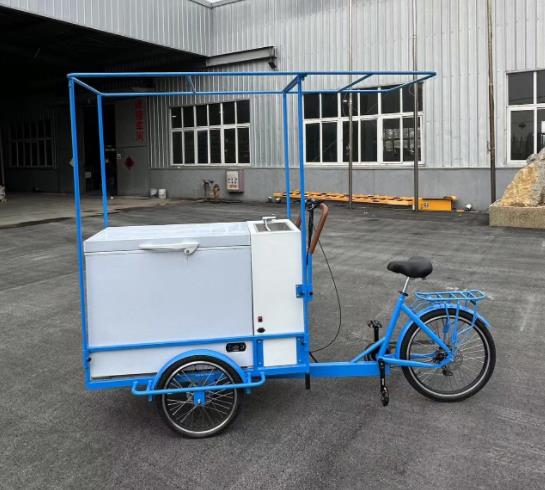 Unleash Your Inner Child:Ice Cream Bikes Bring Joy on Two Wheels!