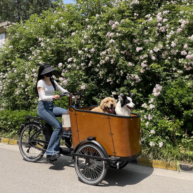 Unlock the Joy of Dog Walking: Cargo Bikes Bring a Whole New Level of Excitement to Canine Adventures!