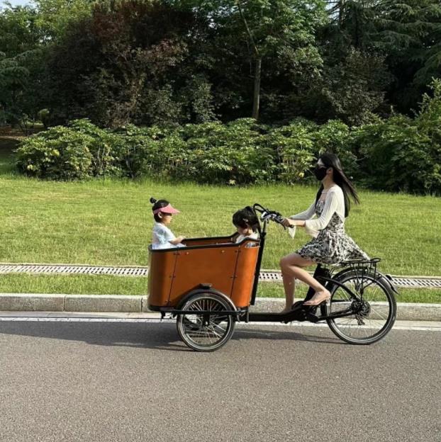Made in China, cargo bike adds endless colors to parent-child love
