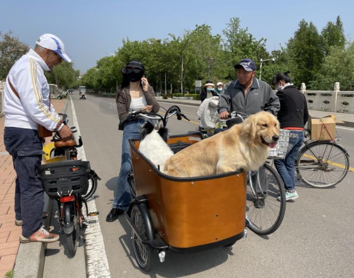 Cargo Bikes Gain Popularity as Sustainable and Versatile Transportation Solution