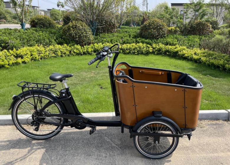 How do e-cargo bikes work?cid=8