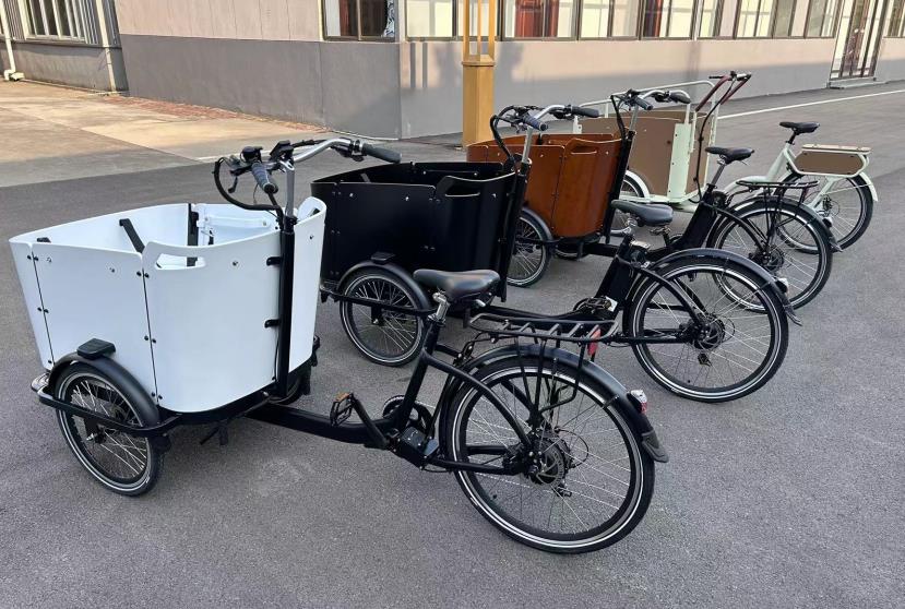 Cargo Bikes: Delivering Convenience and Sustainability in Every Ride