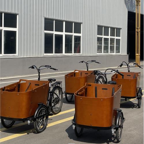 E-Cargo Bikes: Revolutionizing Transportation for Private and Commercial Use