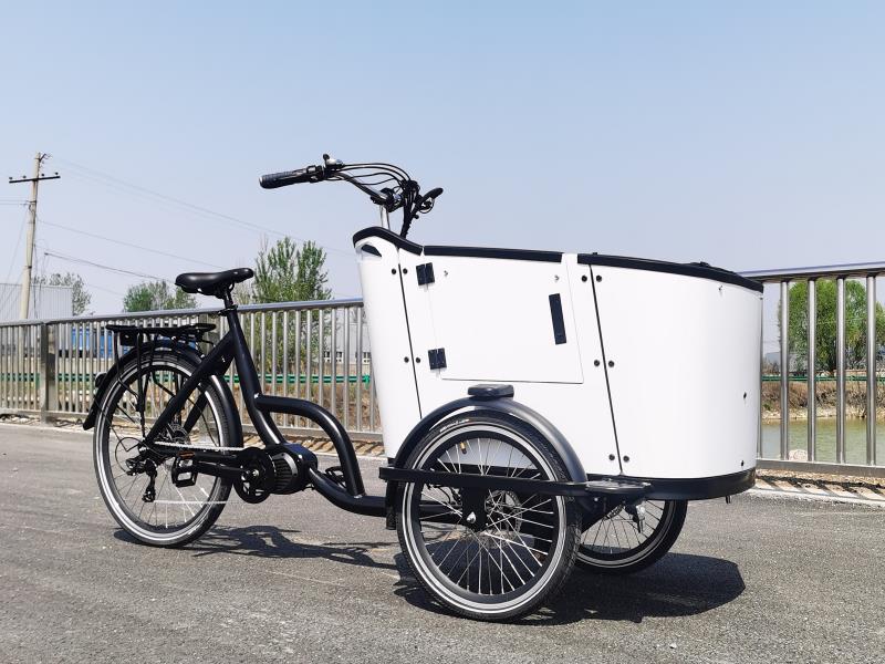 E-Cargo Bikes: Revolutionizing Transportation for Private and Commercial Use