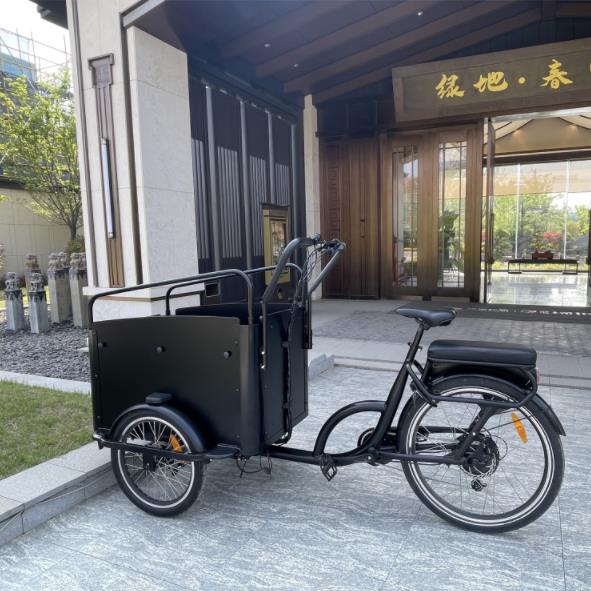 E-Cargo Bikes: Revolutionizing Transportation for Private and Commercial Use