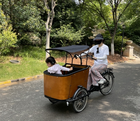 The Green Commute: A Guide to Sustainable Family Travel with Electric Cargo Bikes