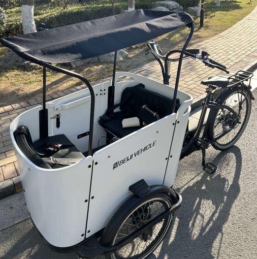 Compact and Agile, Boosting Profits: Cargo Trikes Becoming the New Favorite for Urban Businesses