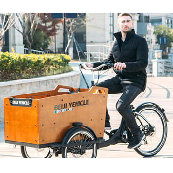 Why Should I Choose an Cargo Bike for My Family?