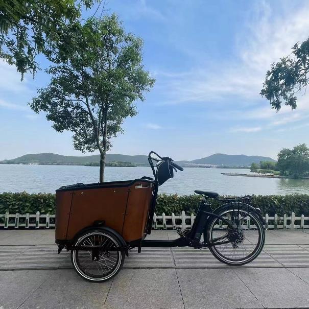 Can Electric Cargo Bikes Create a Greener, Quieter Cityscape?