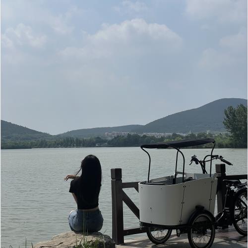 Enjoying Scenic Views on a Cargo Bike During the Holiday Season