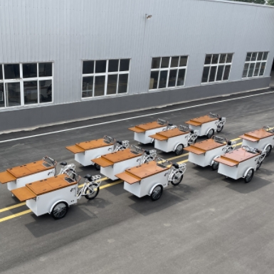 Enormous Investment Potential in Ice Cream Carts: Investors Flock In