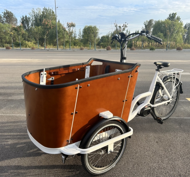A Wise Choice for Sustainable Operations: Electric Cargo Tricycles Creating Win-Win Scenarios