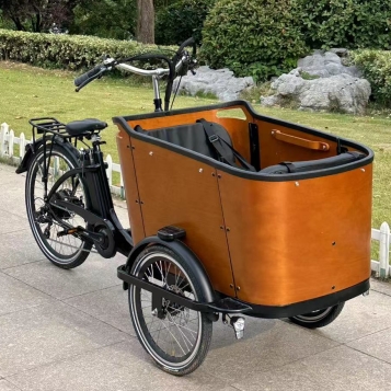 Unstoppable Cargo Bikes: The Enduring Force in Urban Dynamics