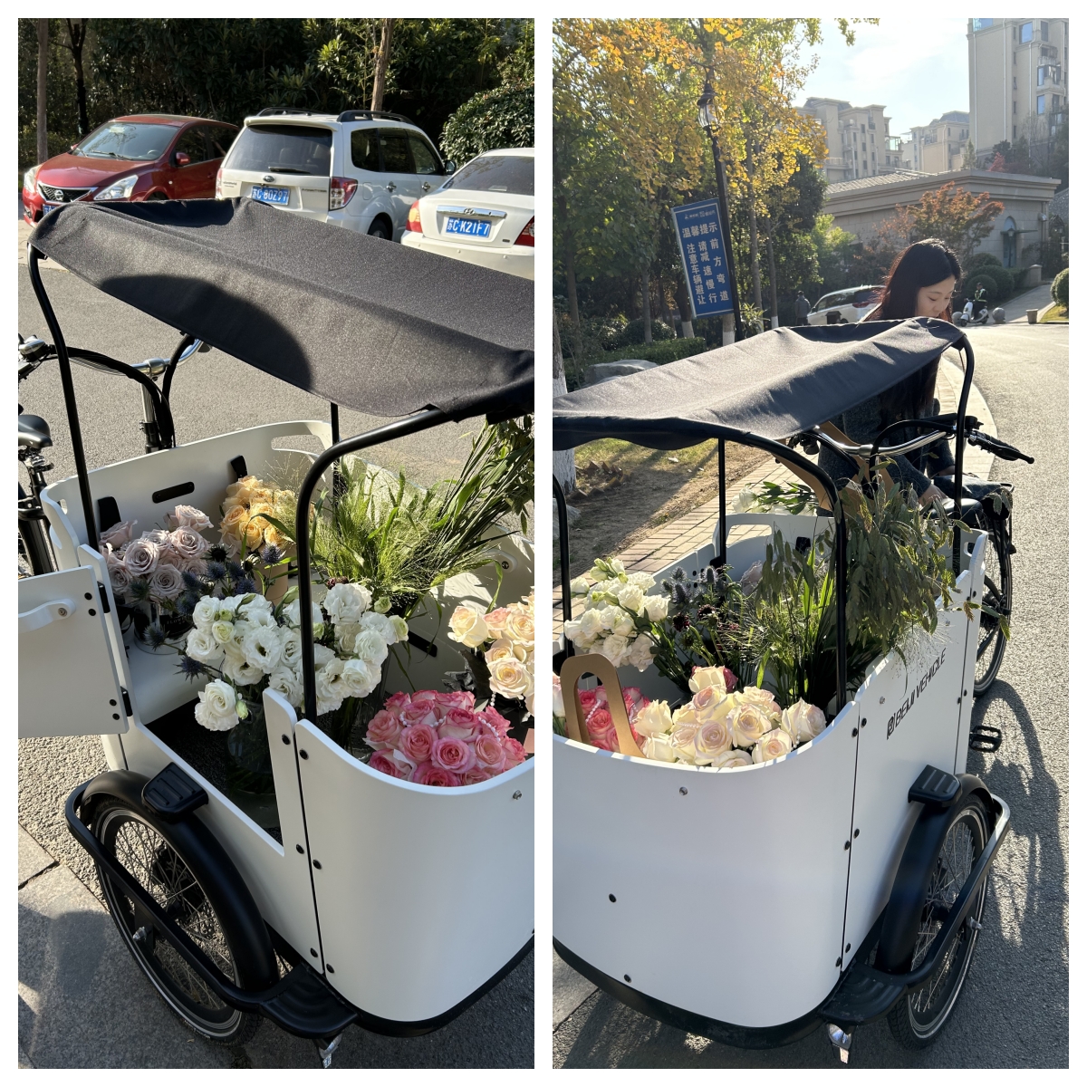 A New Entrepreneurial Option: Investment Opportunities in the Cargo Bike Industry