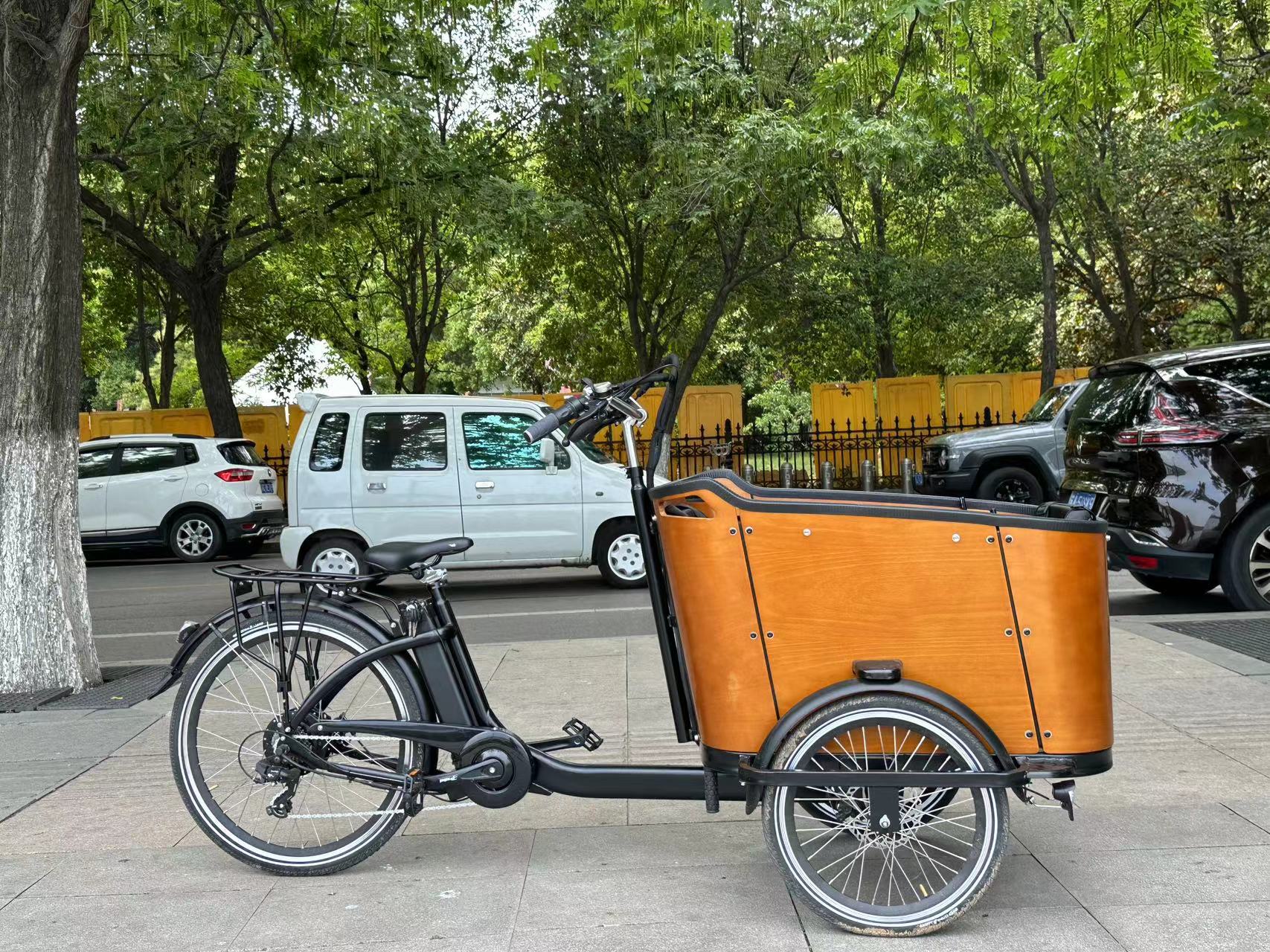 Mobile Mini-Marts Rise: Innovative Cargo Trikes Become the New Highlight of Urban Shopping