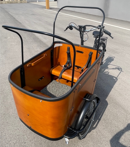 Cargo Trikes: Transforming Urban Landscape with Cleaner and Quieter Streets