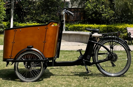 Urban Symbiosis: Cargo Bikes, Pedestrians, Cars, and Public Transport Build Harmonious City Ecology Together