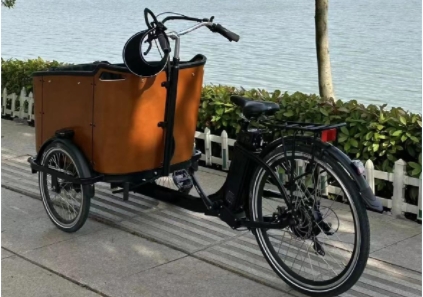Green Vessel: Electric Cargo Bikes Injecting Fresh Power into the City