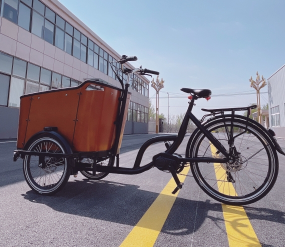 Are Cargo Bikes Worth the Money?