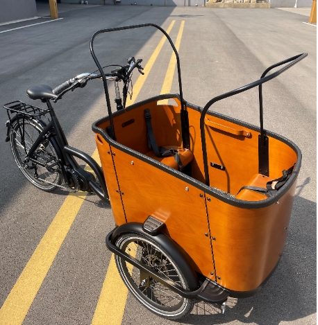 New Way of Campus Delivery: The Popularity of Cargo Bikes in Universities