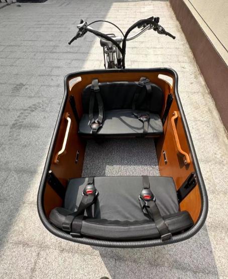 From Groceries to Gadgets: Electric Cargo Bikes Have It All