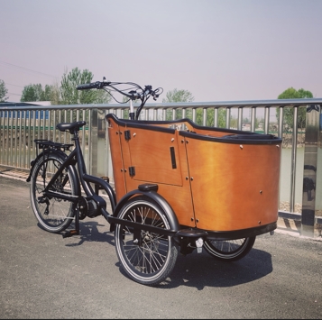 Cargo Bike Development Trend from a Global Perspective