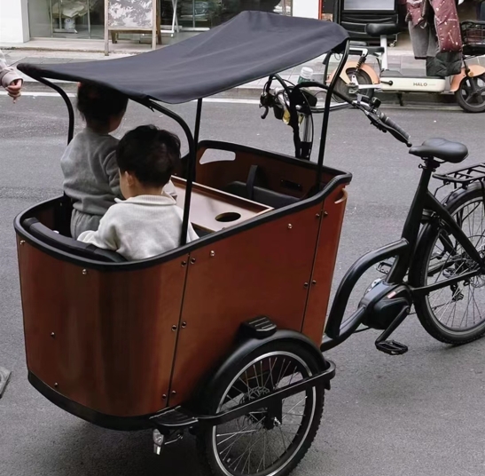 More than a Mobility Tool, Cargo Bike's Creative Life Journey