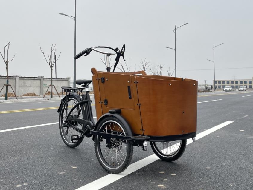 cargo tricycle sees explosive growth amid fuel vehicle restrictions