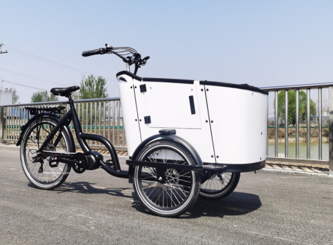 New Cargo bikes make grocery shopping easier for cyclists